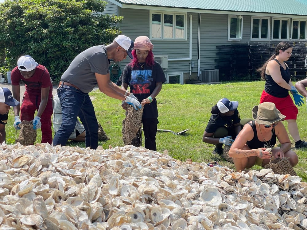 Bug bites, oysters, scorching heat – oh my! A field trip to gain insight and inspiration post image