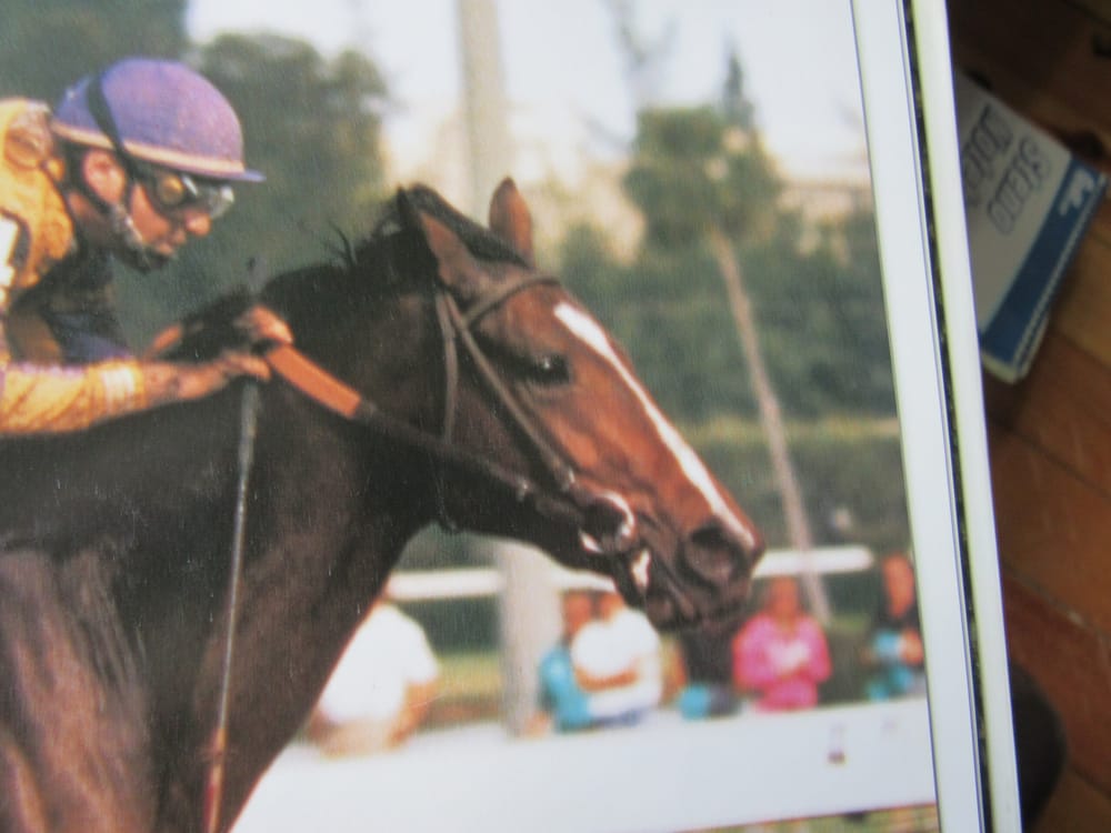 I’ve got the horse right here post image