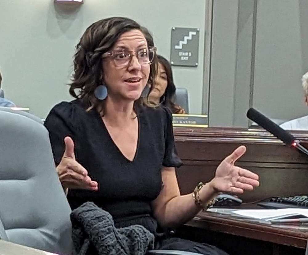 Aldermen hear presentation on current state of homeless initiatives and future goals, needs post image