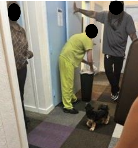 Report: NH kids placed at Tennessee youth center facing abuse, neglect, ‘abhorrent conditions’ post image