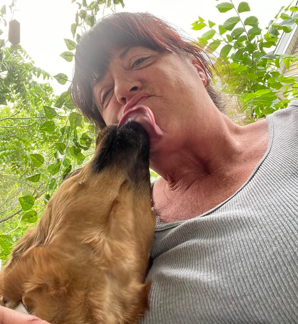 Motley Mutts: Going to the dogs post image