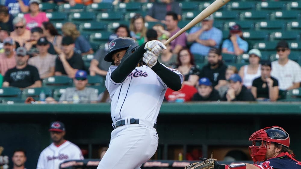 Fisher Cats defeated in season finale post image