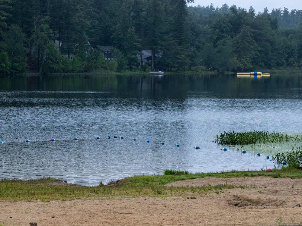 Crystal Lake public beach remains closed due to elevated E.coli bacteria post image