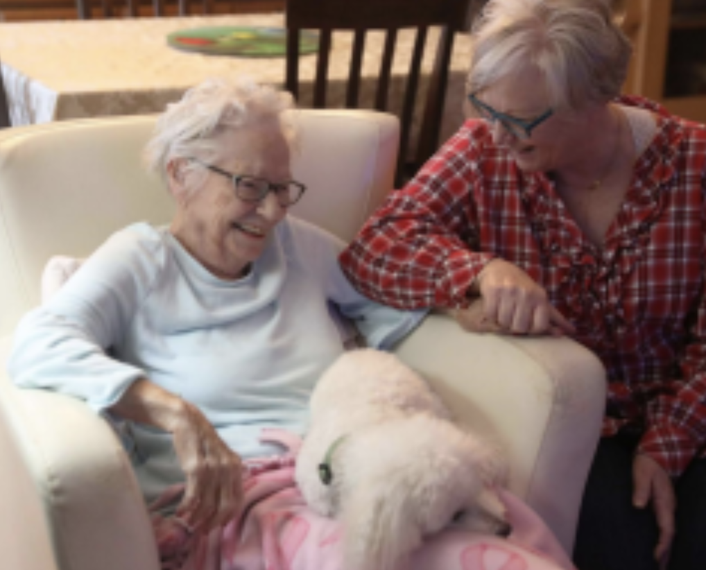 Become a hospice volunteer with free classes through Visiting Nurses Association post image