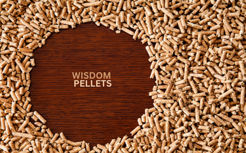 Sept. 9: Wisdom pellets post image