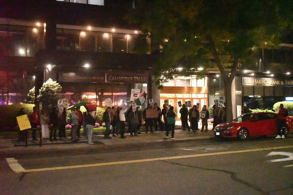 Palestinian supporters rally on Elm Street post image