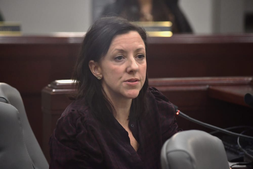 Aldermen revisit homeless privacy discussion post image