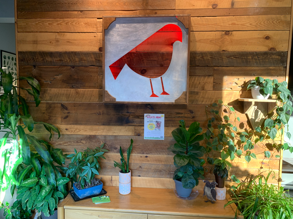 Concord’s Feathered Friend Brewing Company: A classic third space post image