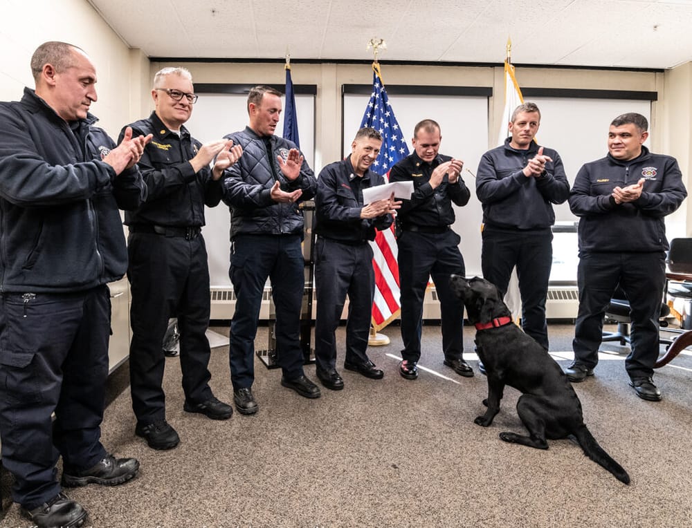 Meet O’Lana the fire dog: Chief Cashin swears in new ‘Ignitable Liquid D Detection K9’ post image