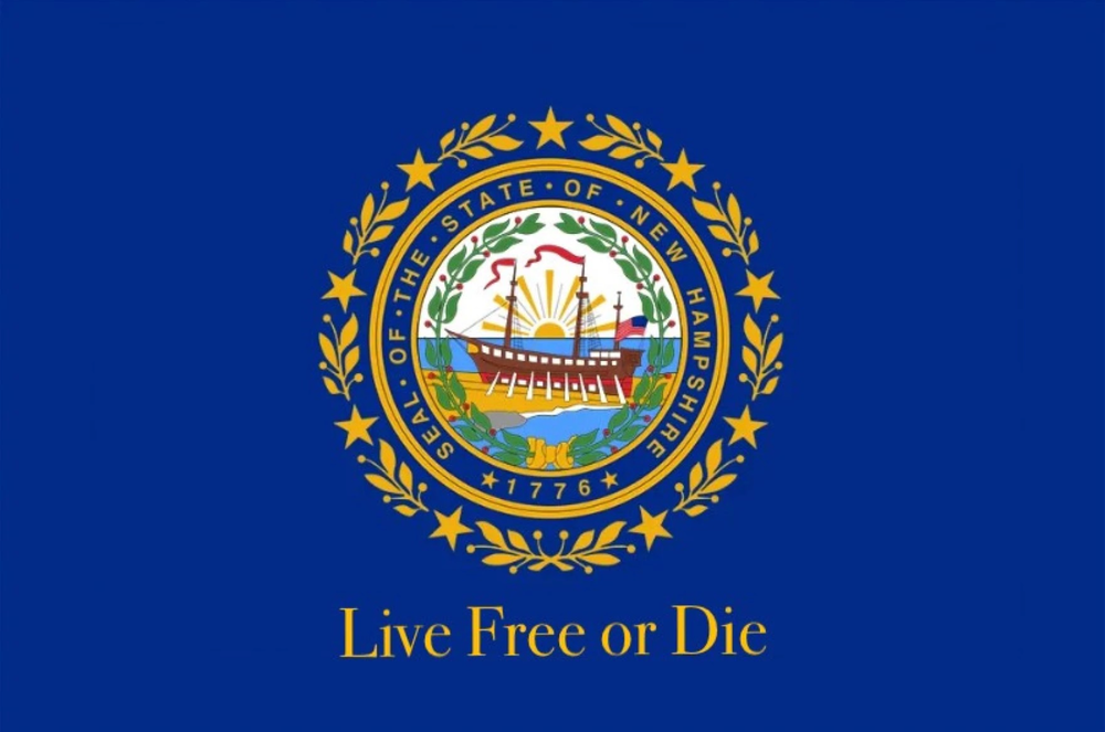 Wave Free or Die: Should this be the new state flag? post image