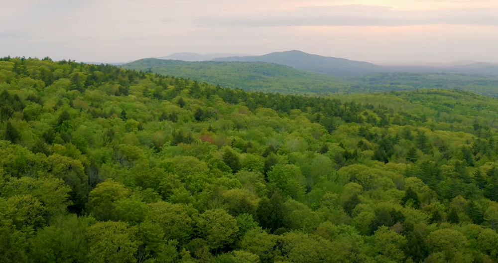 New ‘forever wild’ sanctuary is piece of vital New Hampshire-Maine conservation post image
