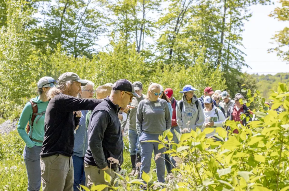 ‘Coverts Project’ seeks volunteers for New Hampshire’s Wildlife and Forests post image