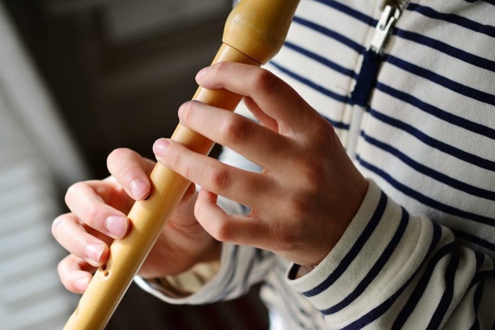It’s a recorder’s world, we’re just living in it post image