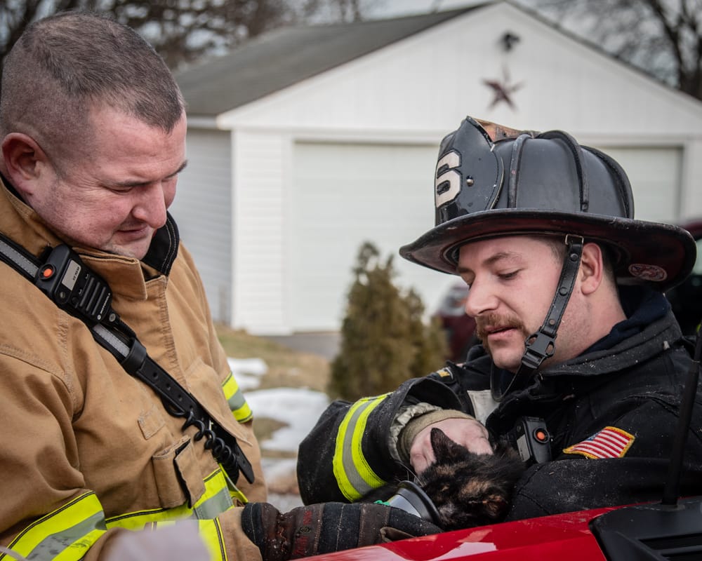 Fire destroys Biron Street home, 1 cat rescued and revived, 1 cat perishes post image