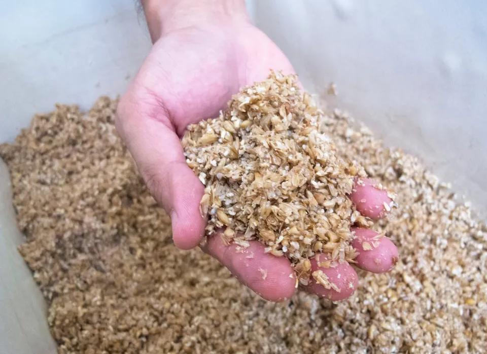 The Problem and Promise of Spent Grain post image