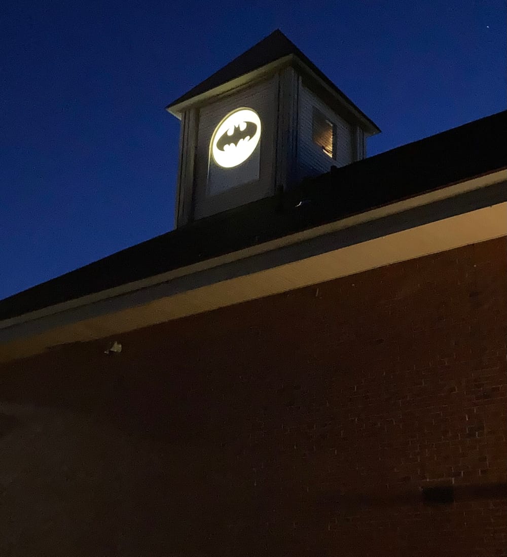 April 17: Going batty for International Bat Appreciation Day post image