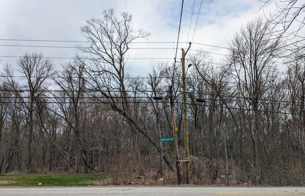 Committee to consider sale of 20-acre property off Wellington Road to Nashua developer post image