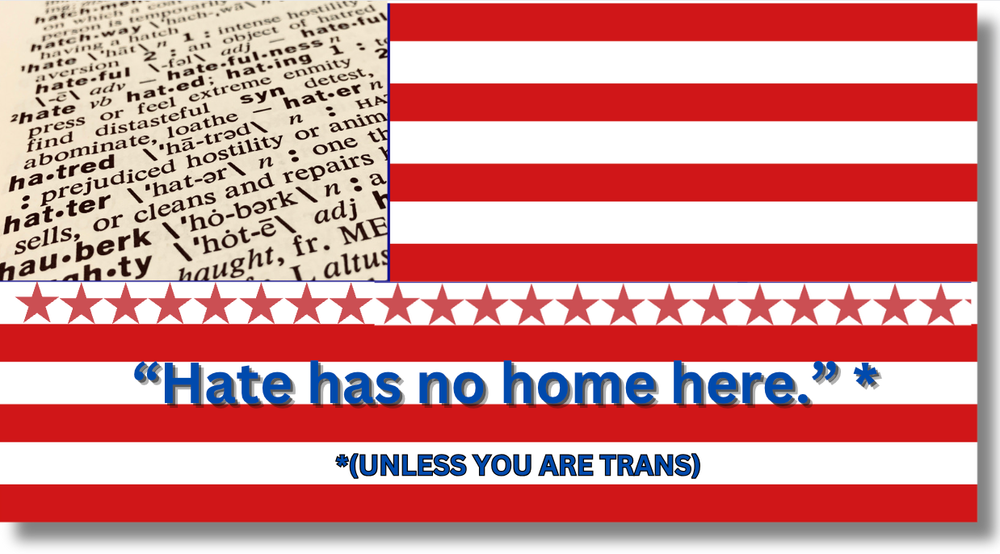 Essay: Anti-trans hatred in America not unlike Anti-Jewish hatred in Germany post image
