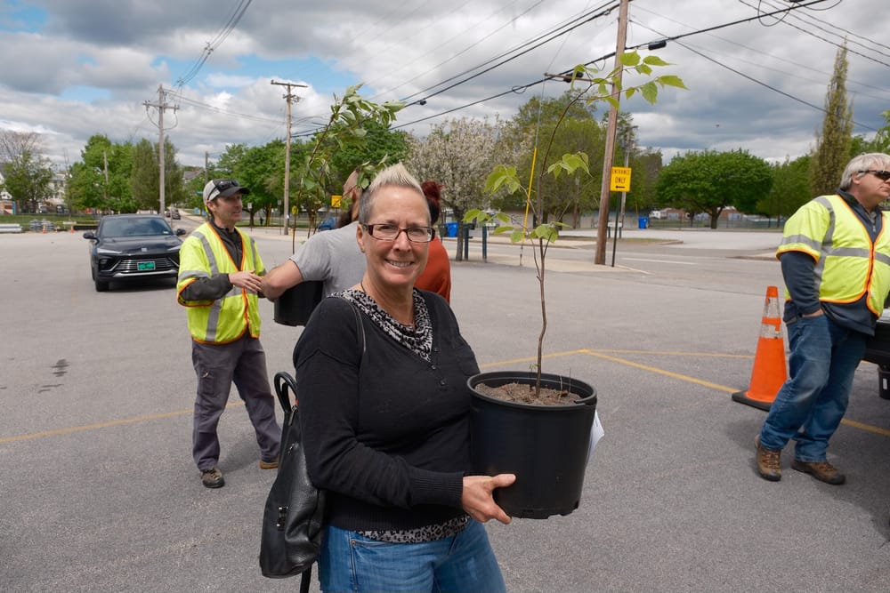Eversource gives away over 200 free trees to Manchester customers post image