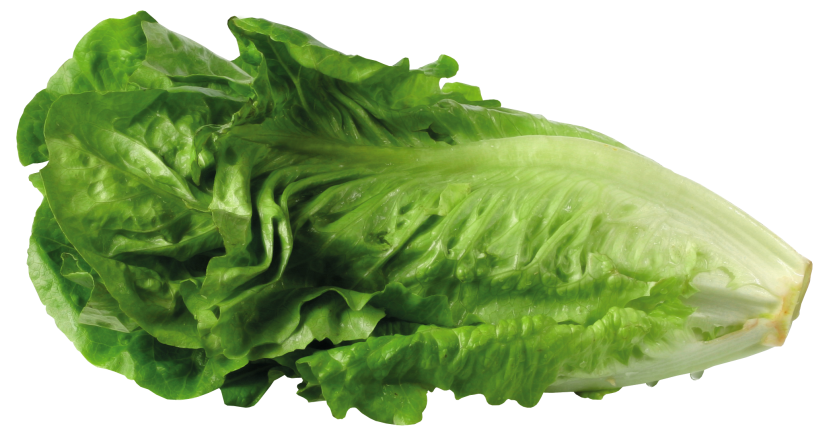 What the science says about food waste post image