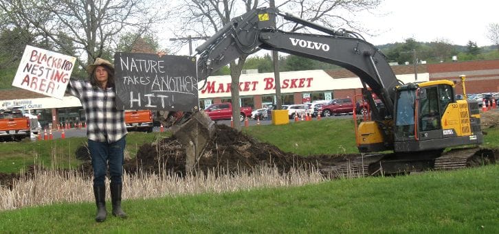 LETTERS: Those destroying bird habitat in Milford must be held accountable post image