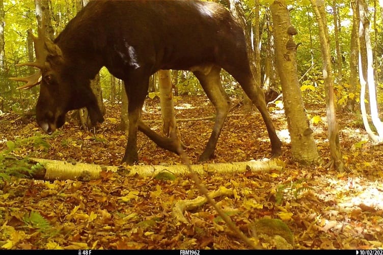 Research Recap from University of New Hampshire April 2024 post image