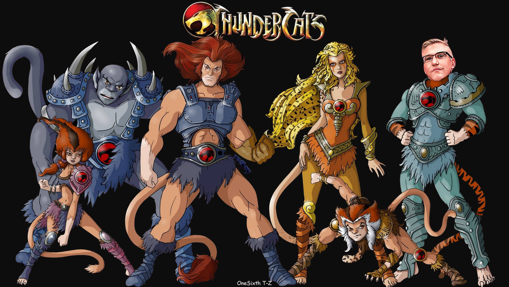 ‘ThunderCats’ taught me everything I need to know about life post image
