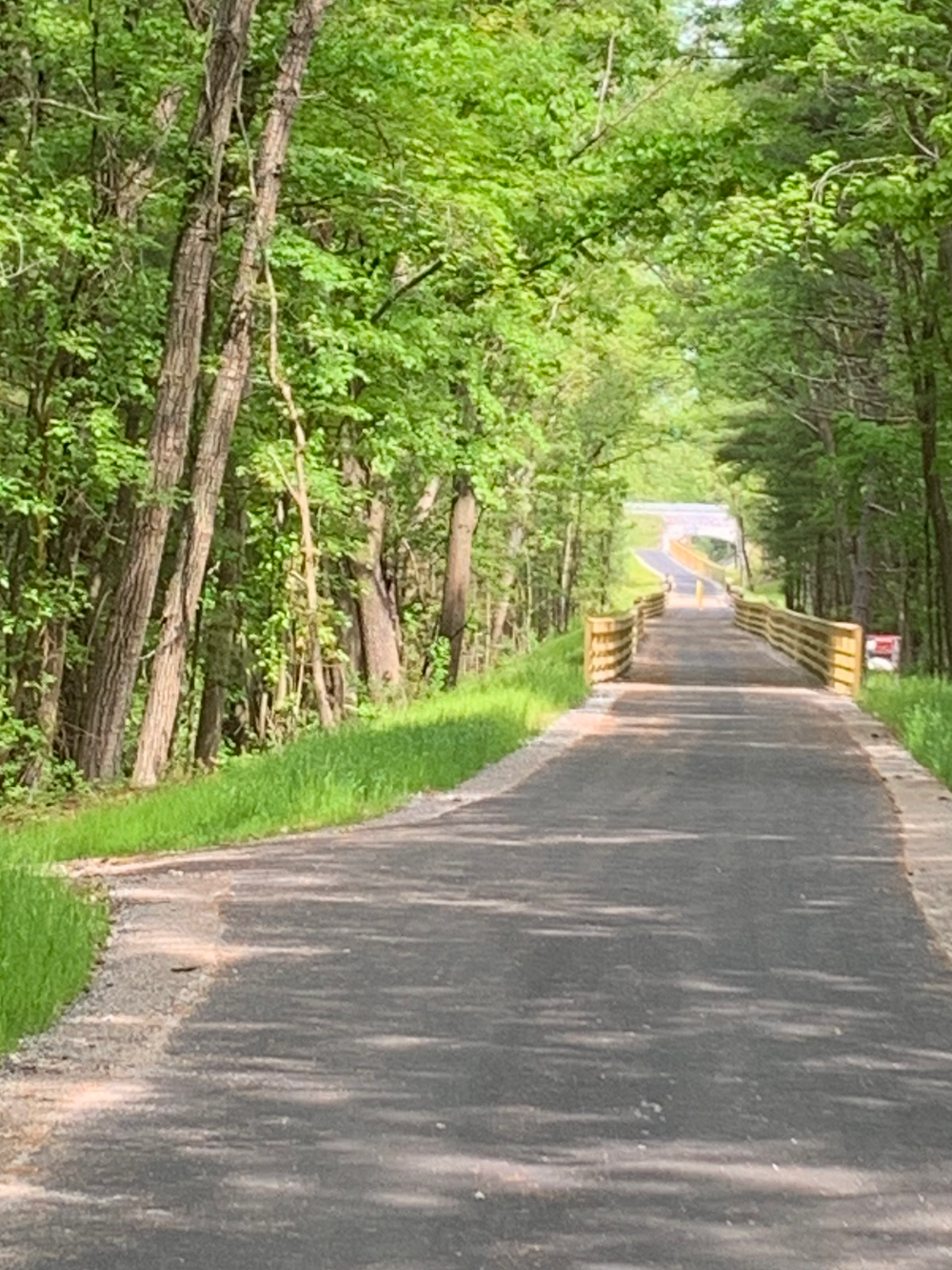 DPW earns national award for South Manchester Rail Trail restoration post image