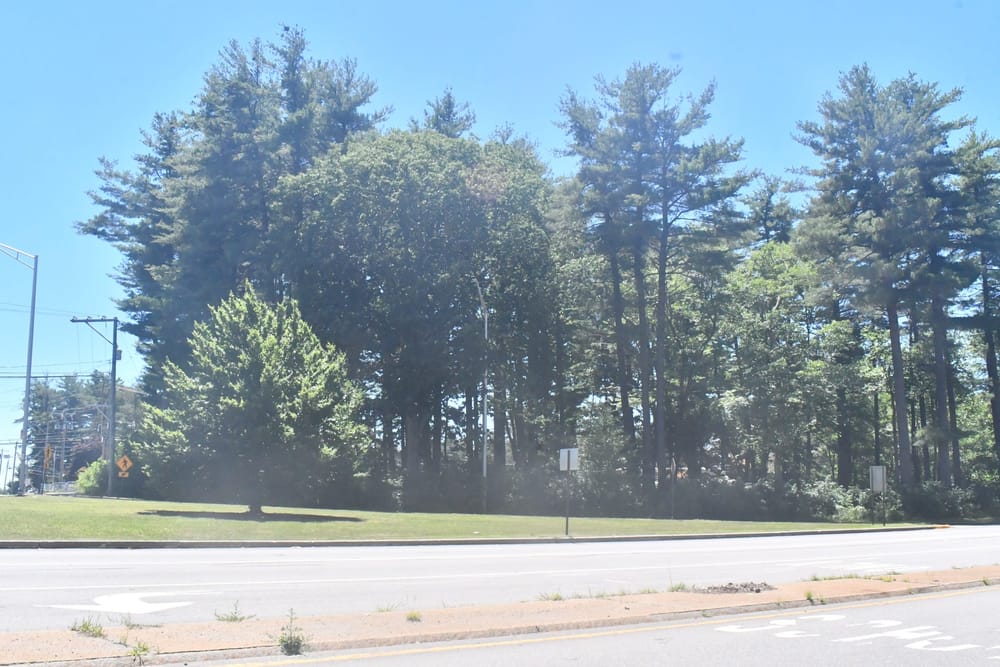 RCBM wants to buy part of Derryfield Park post image