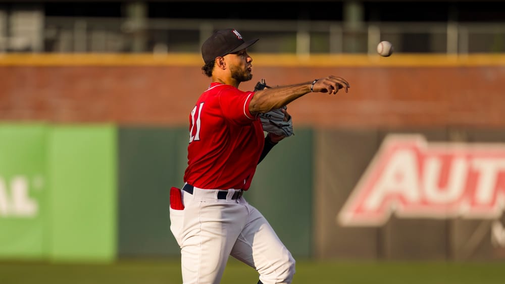 Flying Squirrels even series with Fisher Cats post image