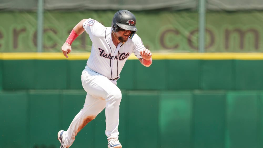 ‘Cats bats slowed in 9-1 Erie loss post image