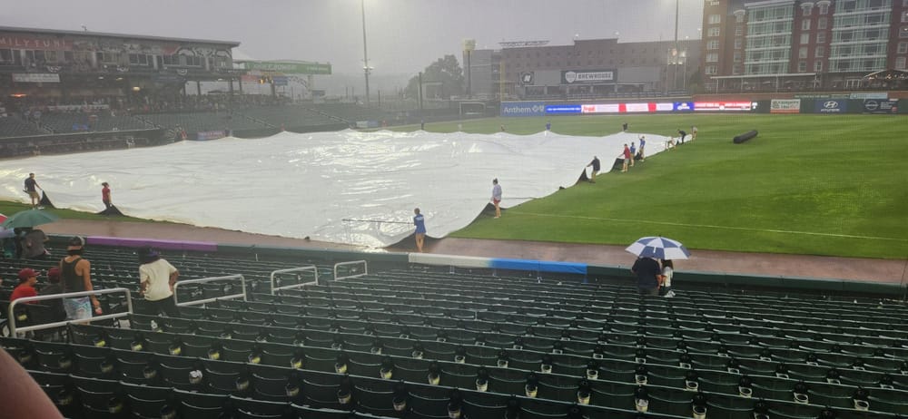 It’s raining ‘Cats and ‘Goats out there post image