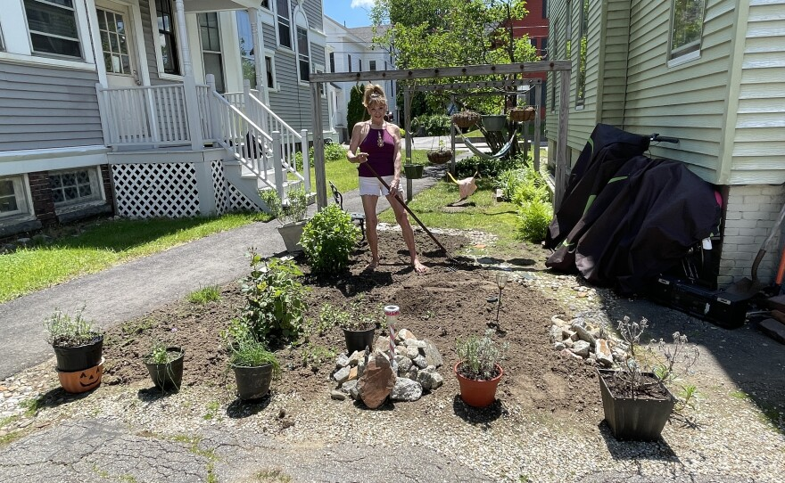 Some Granite Staters turn to gardening as high cost of living drives food insecurity post image