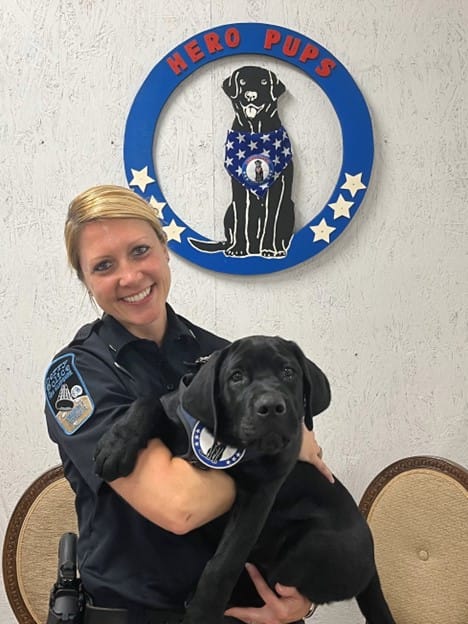 Name that comfort dog: Derry police seek your help in naming their newest ‘Hero Pup’ recruit post image