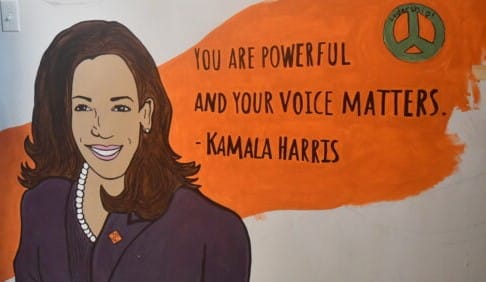Saint Anselm survey finds Harris beating Trump post image