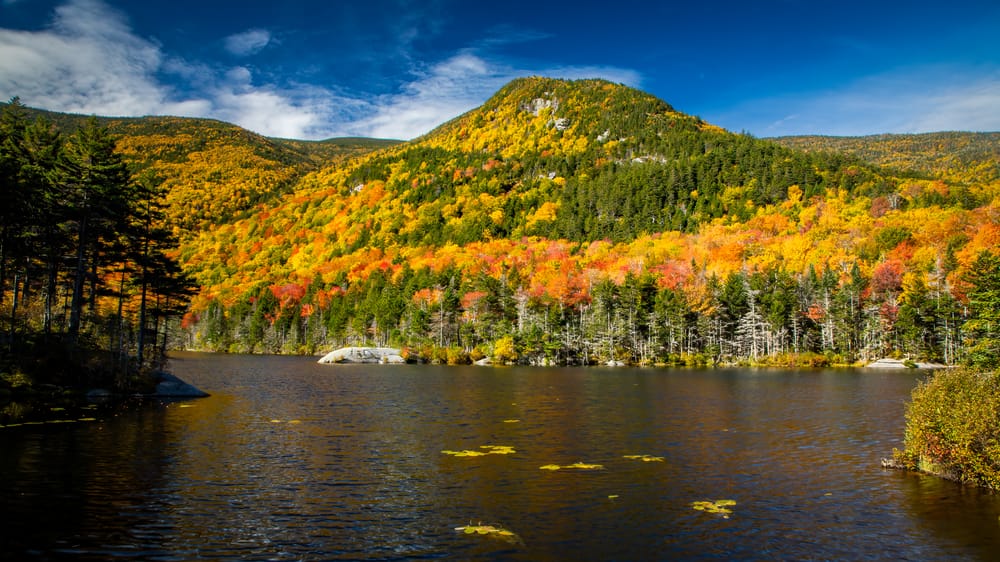A professional photographer’s guide to capturing New Hampshire’s foliage season post image