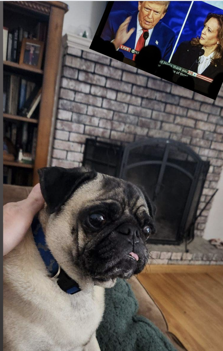Bad news for Buster and babies: Reflections on the presidential debate post image