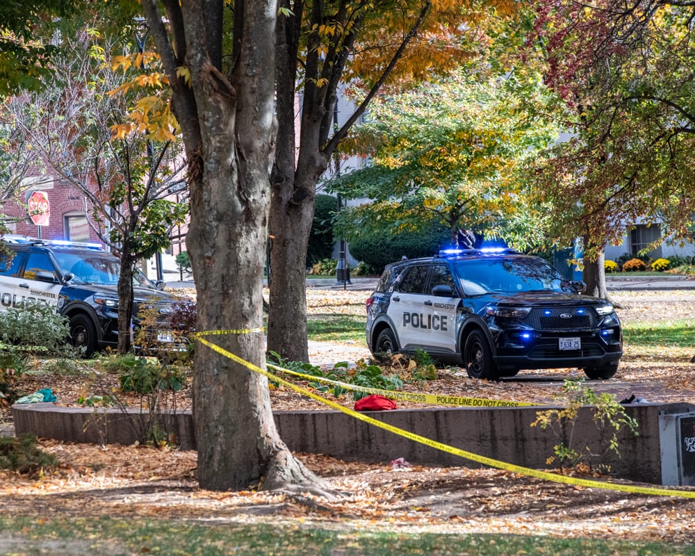 Police investigate stabbing after victim found at Victory Park post image
