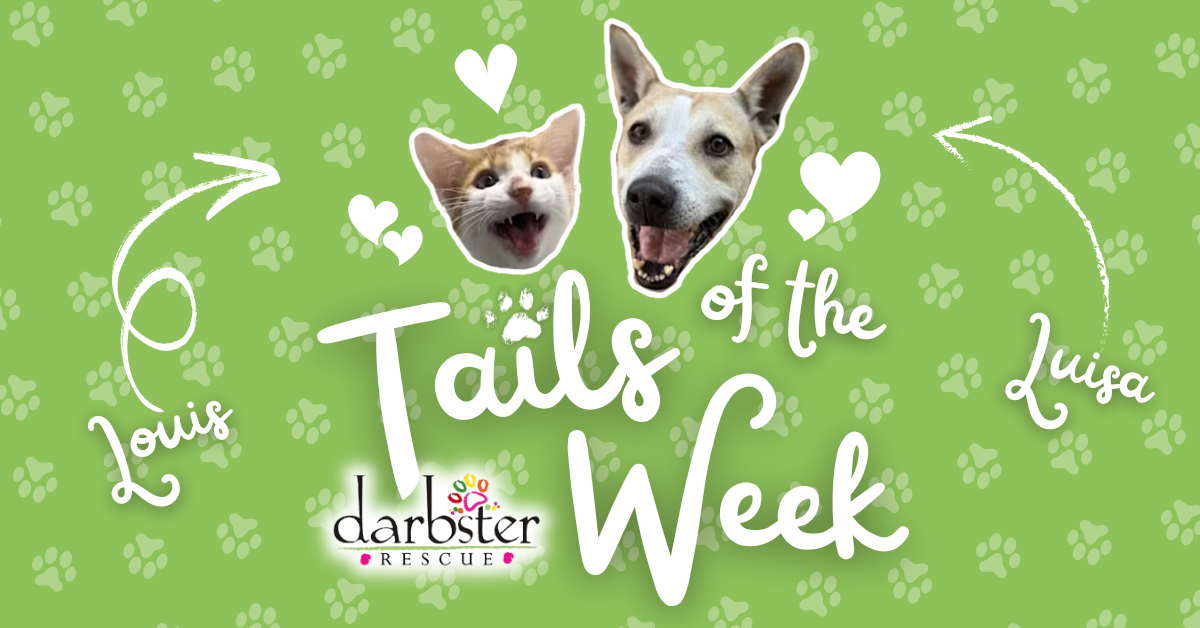 Louis + Luisa 🐾 Tails of the Week post image