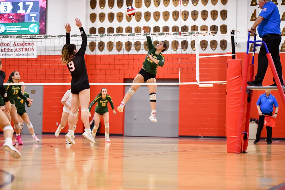 Bishop Guertin pushes Bedford to the limit in semifinal thriller but Bulldogs hold on for 100th straight victory post image