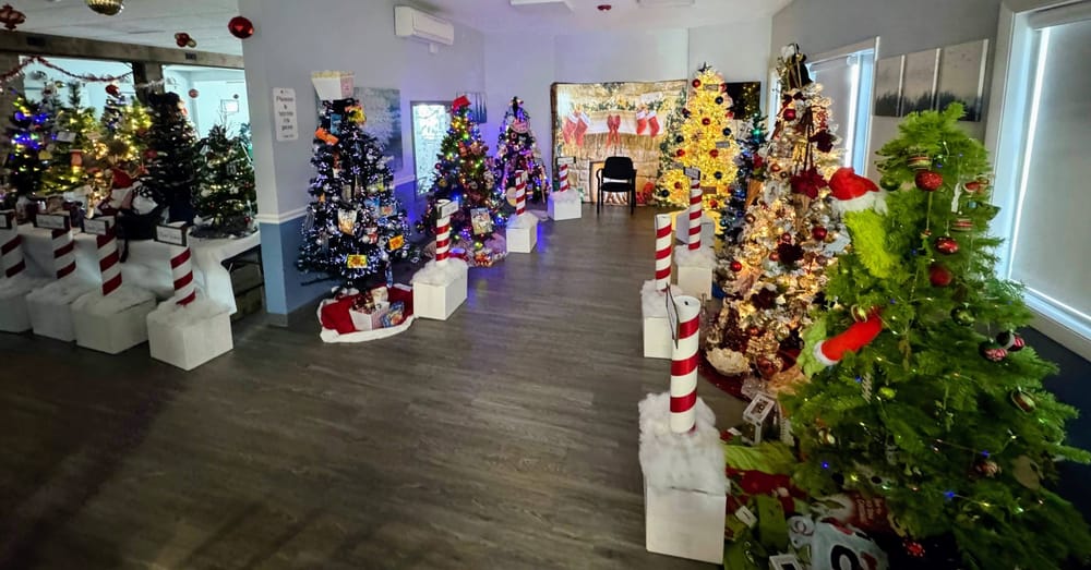 3rd Annual Christmas Tree Jubilee: Bid on a hassle-free tree this weekend and support Liberty House post image
