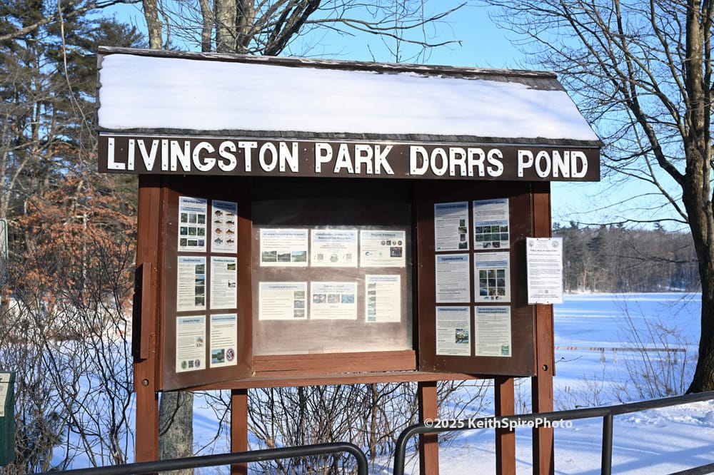 Dorrs Pond, where you can bundle up and skate for free outdoors post image