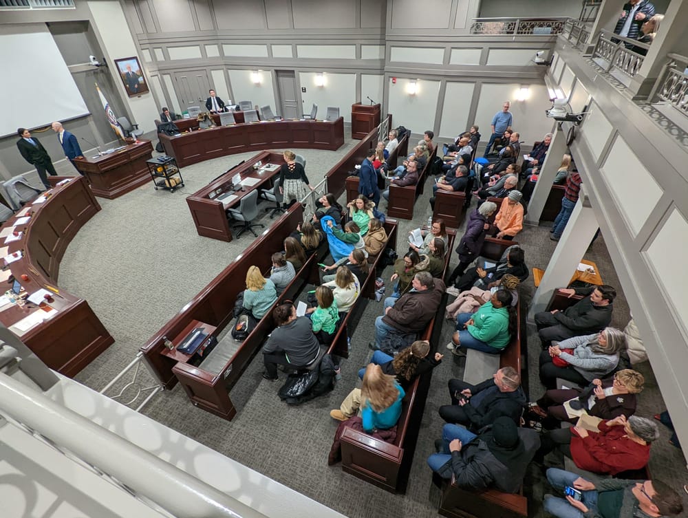 Live public comment from the Jan. 21, 2025 Board of Mayor and Aldermen meeting post image