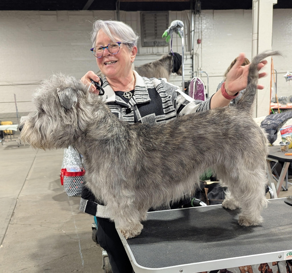 Local pup to invited to compete in international Westminster Kennel Club Dog Show post image