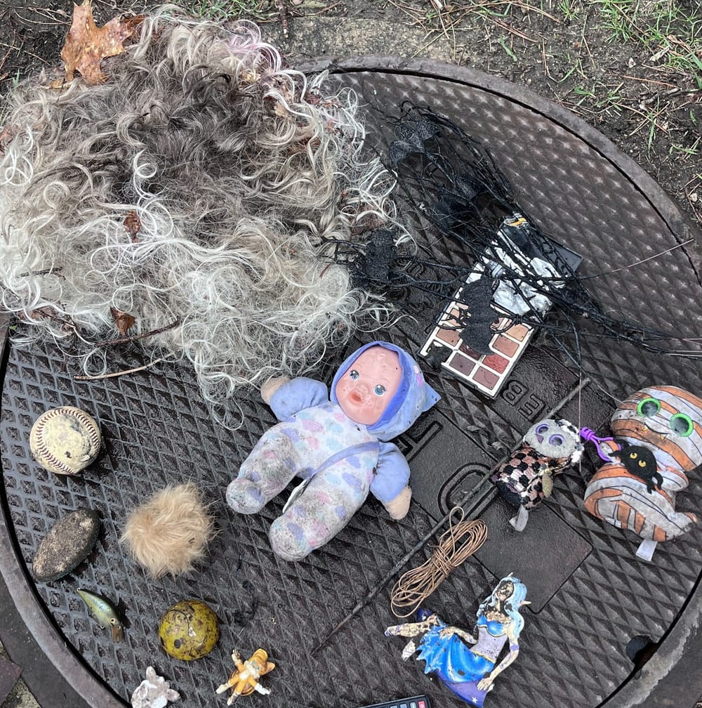 Lockpick guide? Bob Ross Chia Pet head? Prepare for the unexpected at community cleanup post image