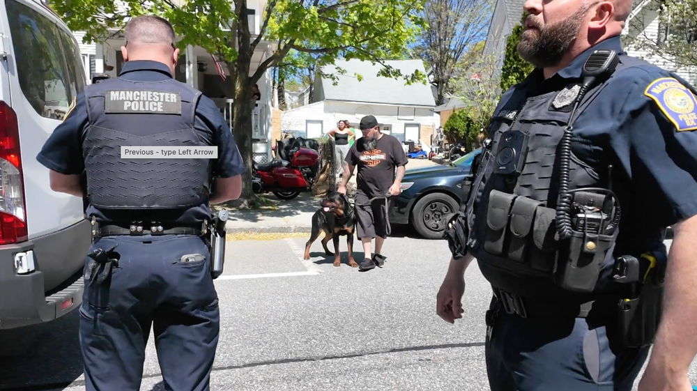 2 dogs removed from Lake Avenue residence after boy suffers serious injury to arm, adult also bitten post image