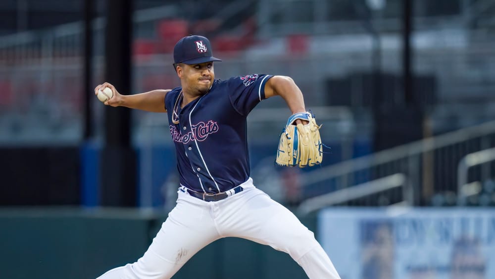 Schreck’s diving catch in 7th secures game one win post image