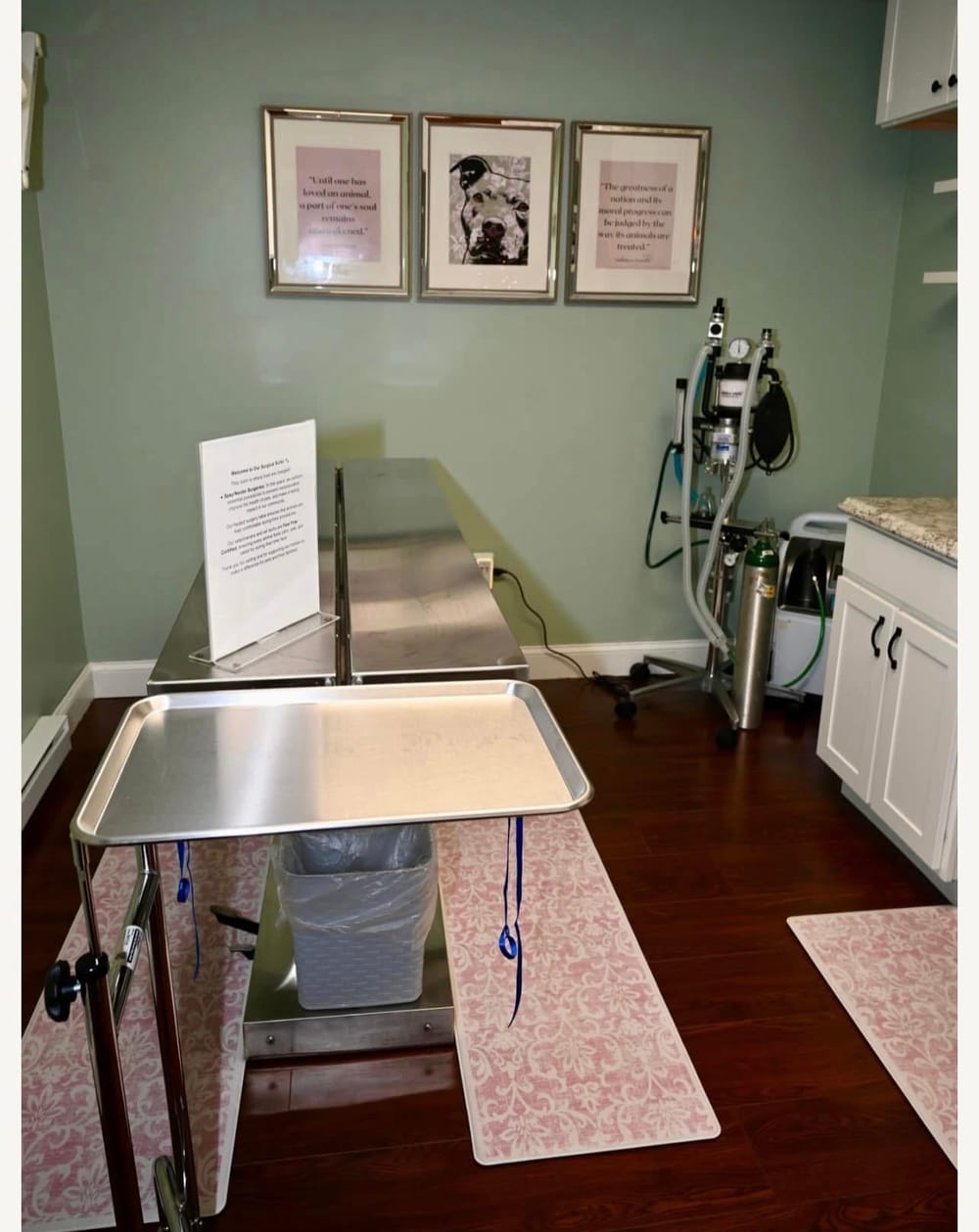 May 3 – Pet Wellness Day at AWARENH: Vaccines, microchips and free pet nutrition class post image