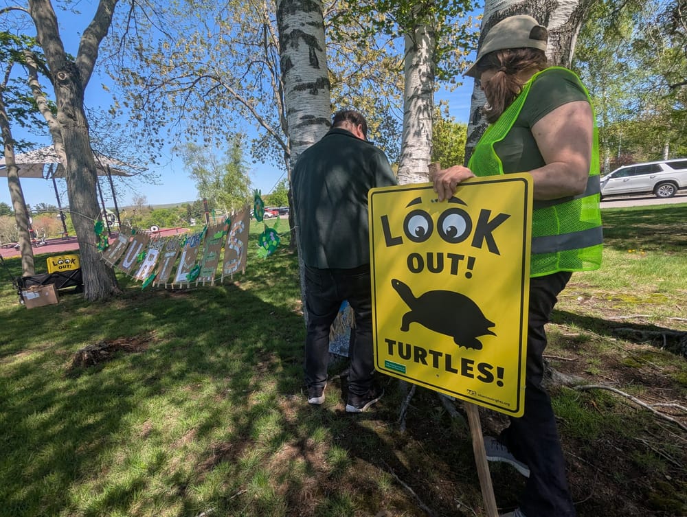 Turtle Brigade plants ‘turtle crossing’ signs after Mother’s Day rally reminding motorists to ‘slow down’ for turtles post image