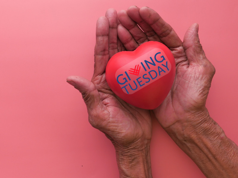 Giving Tuesday is a day for NH residents to help their community, nonprofits say post image